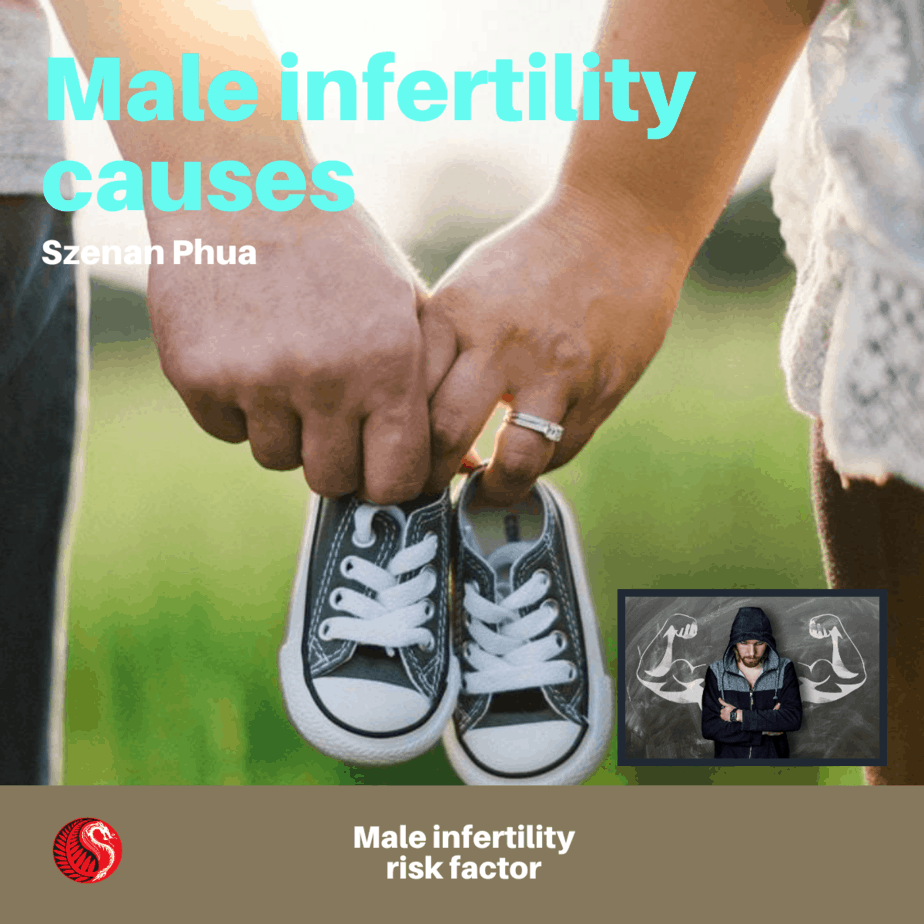 Causes of male infertility