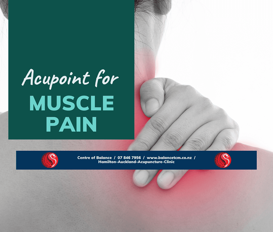 acupoint for muscle pain|Acupoint for Muscle Pain