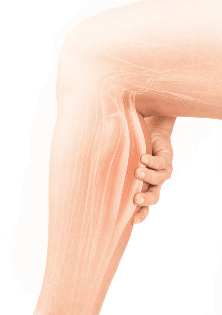 Calf Muscle Pain||meridians