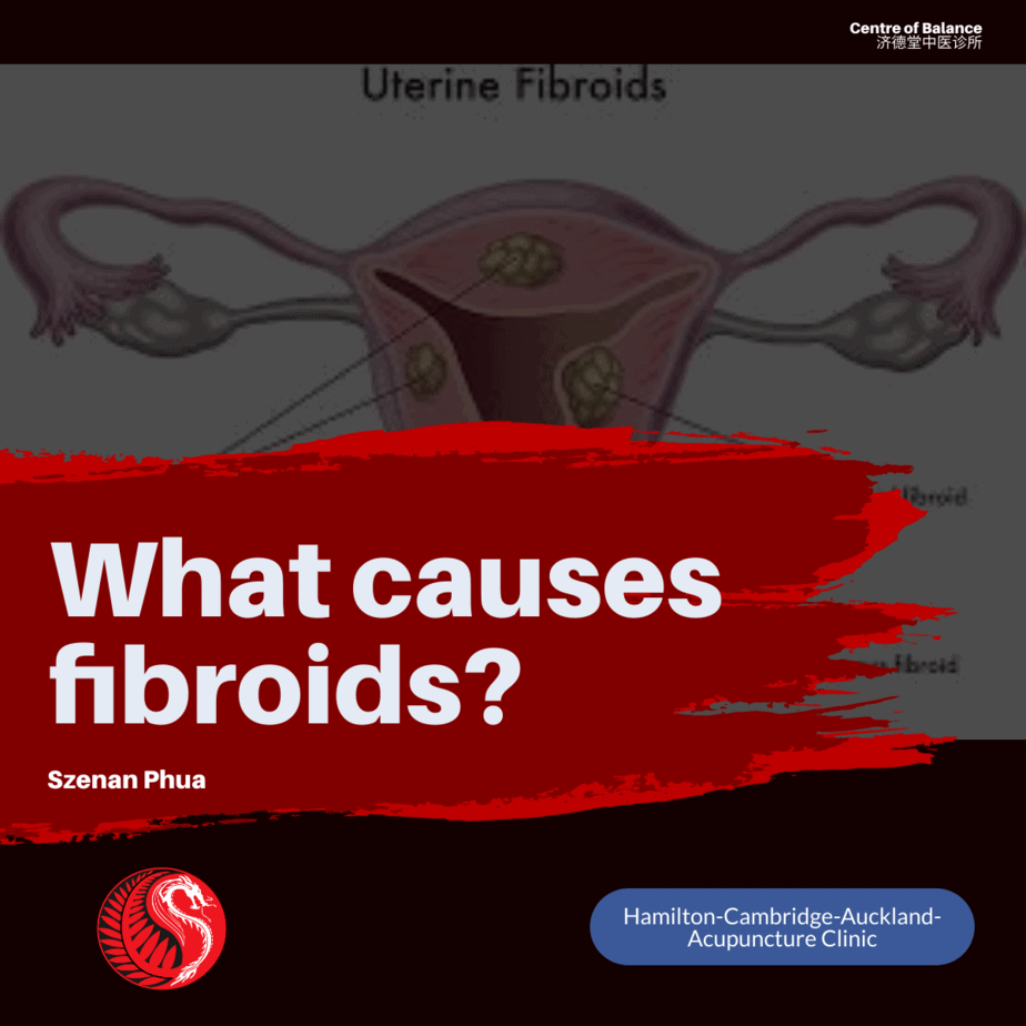 causes of fibroids